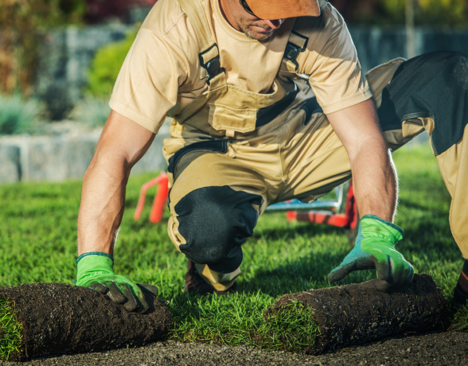 Landscaping